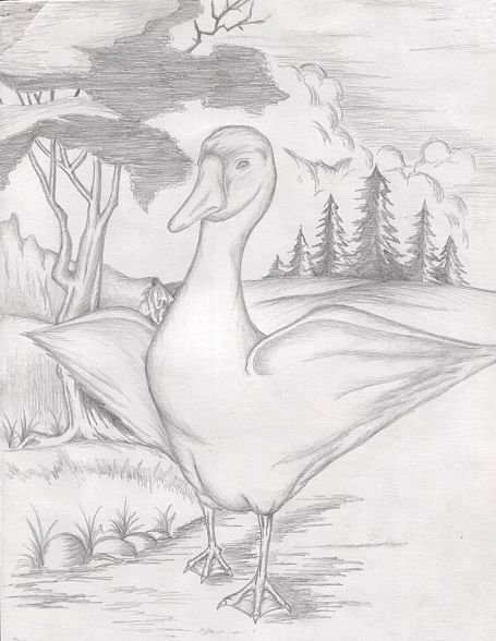 Белый Гусь Носов