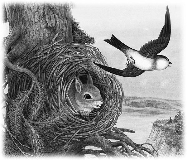 Бианки в. "Лесные домишки"