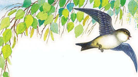 Виталий Бианки Лесные домишки