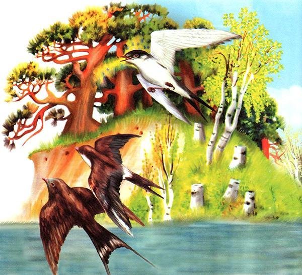 Бианки Лесные домишки раскраска к рассказу