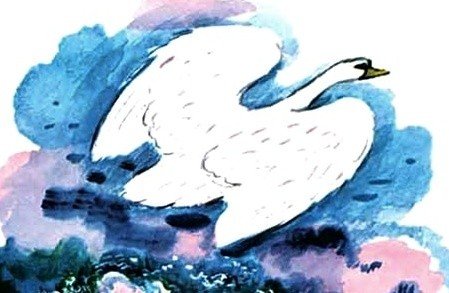 Лебеди толстой