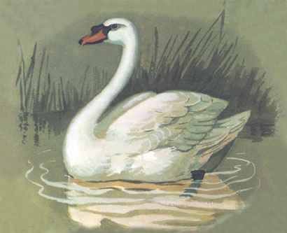 Сен-Санс карнавал животных лебедь