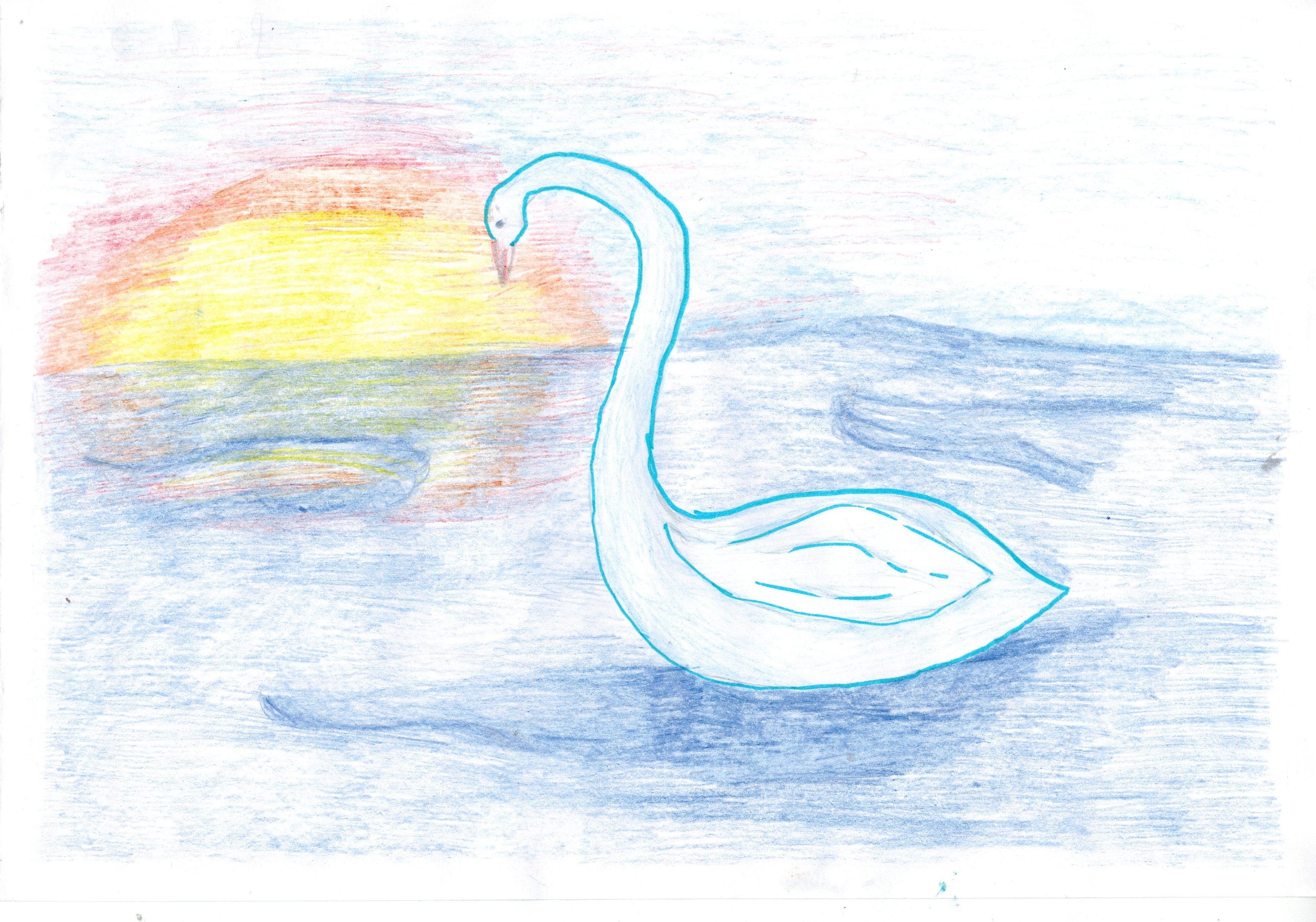 Нарисовать рисунок лебедушка. Сен Санс лебедь иллюстрация. Сен-Санса лебедь рисунок. Рисунок к пьесе "лебедь" сен-Санса. Сен-Санс карнавал животных лебедь.