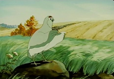 Бианки оранжевое горлышко иллюстрации