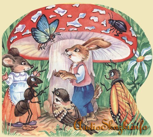 Сказка грибок Теремок Сутеева