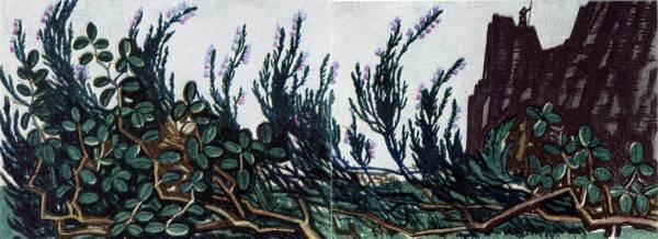 Вересковый мёд мультфильм 1974