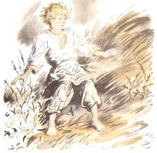 Два плуга Ушинский