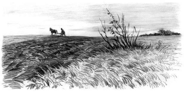 Плуг раскраска