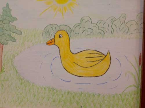 Кривенька Качечка