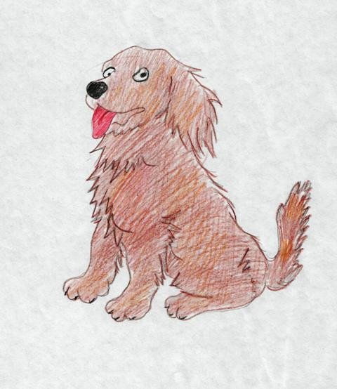 Собака Завирайка