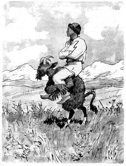 Коса волосы вектор