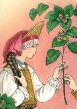 Ореховая ветка толстой