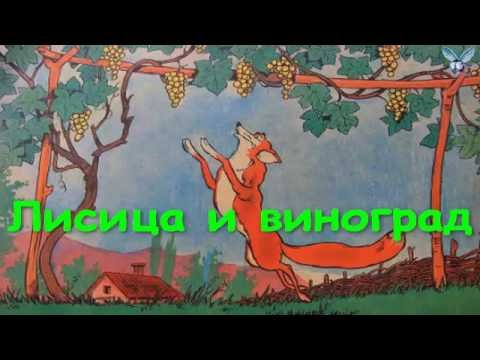 Лиса и виноград мультфильм