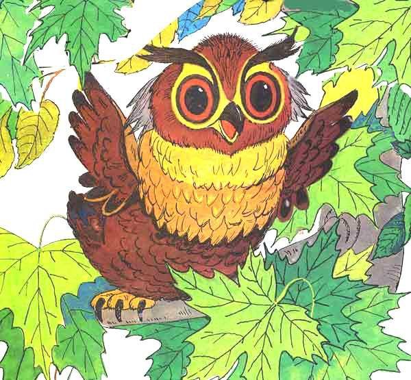 Образ Совы в сказках