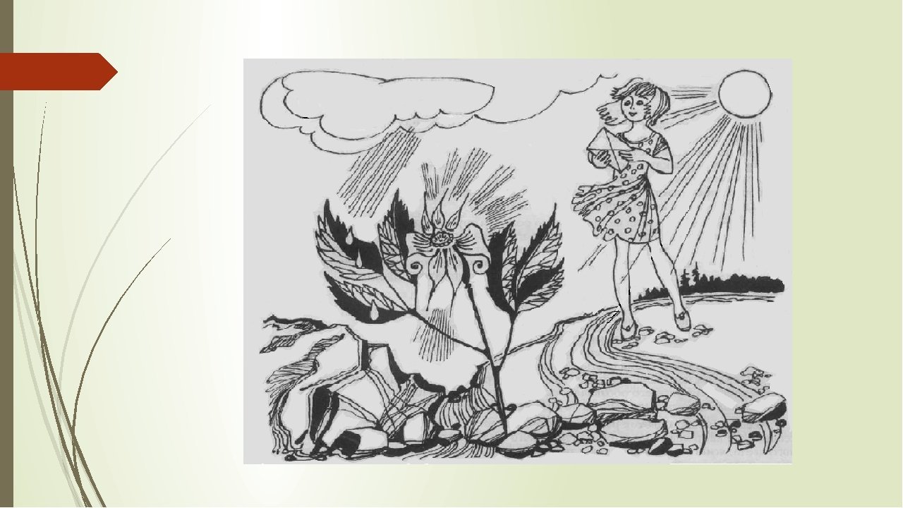 Девочка и цветок рассказ. Платонов а. "неизвестный цветок". Иллюстрация к произведению неизвестный цветок Платонов.