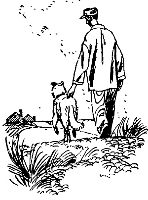 Иллюстрации к сказкам