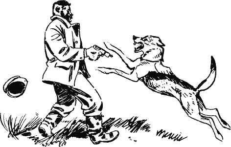 Собака Пришвина кладовое солнце