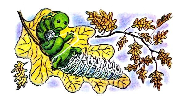 Сказки в. Берестова «честное гусеничное»