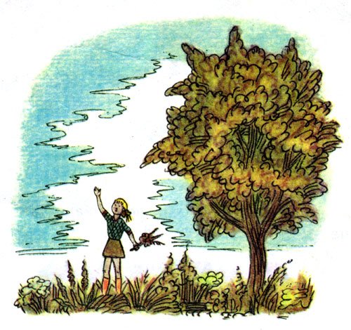 Берестов сказка честное гусеничное