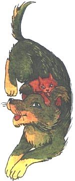 Стихотворение Валентина Берестова Кошкин щенок