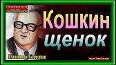 Валентин Берестов Кошкин щенок