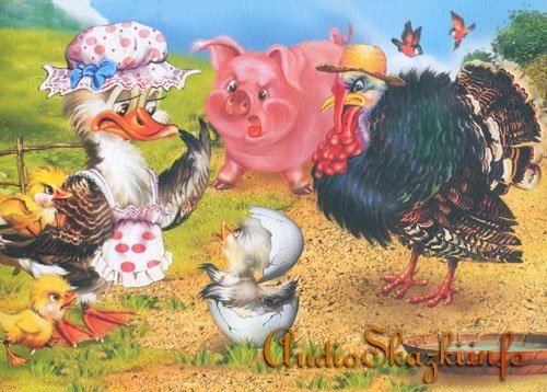 Гадкий утенок и индюк