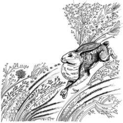 Самоотверженный заяц Салтыков Щедрин