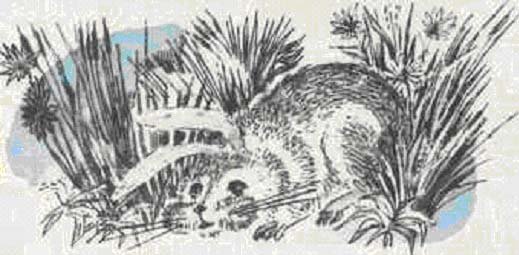 Самоотверженный заяц Михаил Салтыков-Щедрин