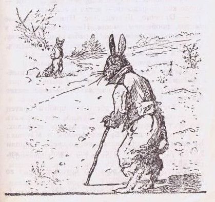 Здравомысленный заяц иллюстрации к сказке (44 фото)