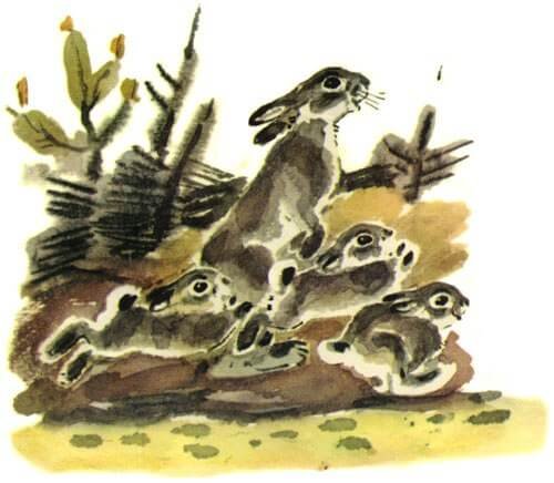 Плюх пришел Калмыцкая сказка