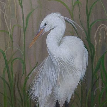 Иллюстрация к сказке белая цапля Телешов