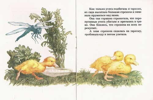 Иллюстрация к рассказу Храбрый утенок Житков