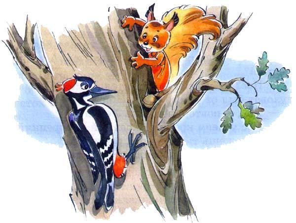 Скребицкий Белочка Хлопотунья