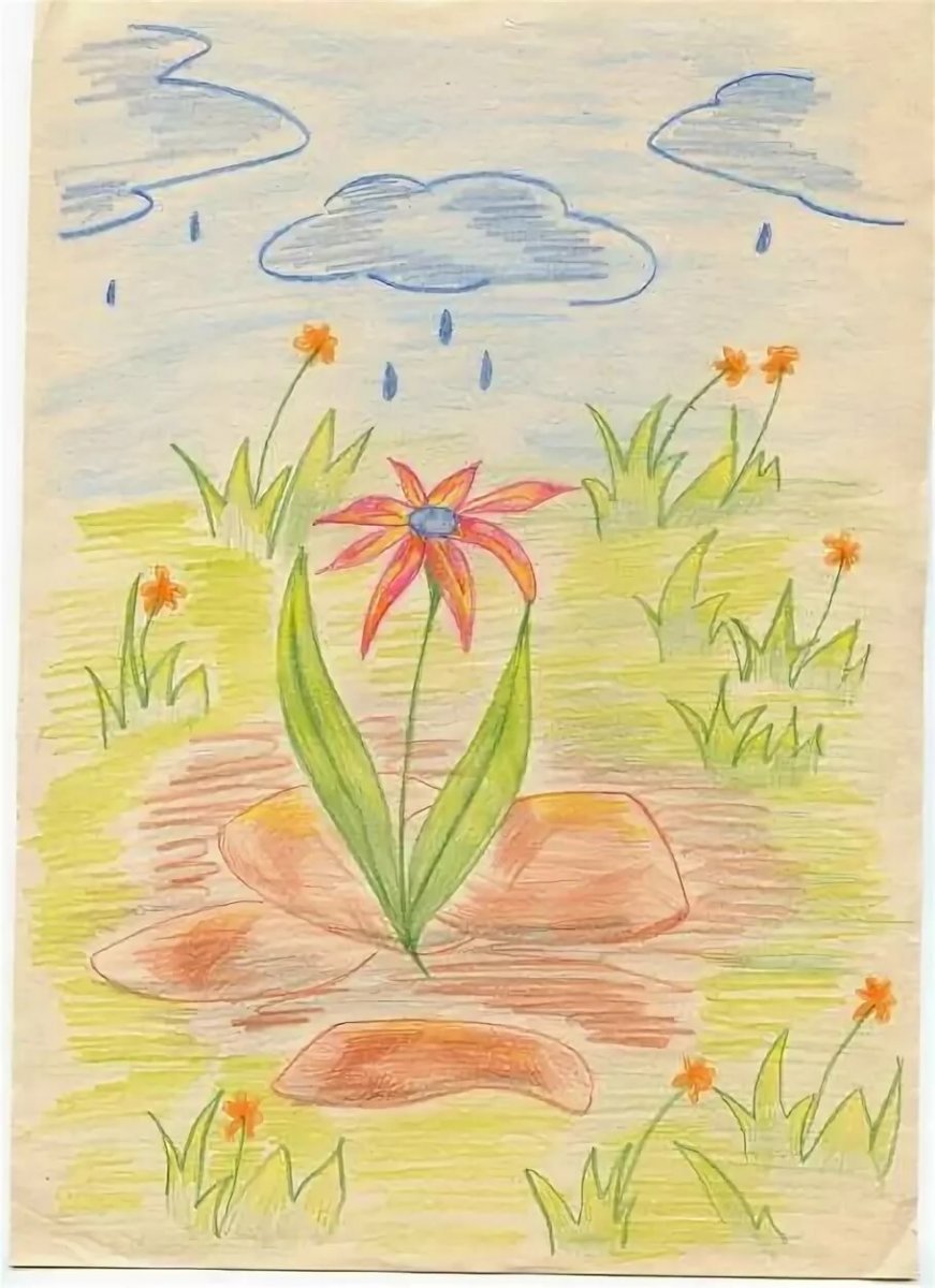 Неизвестный цветок Андрей Платонов рисунок