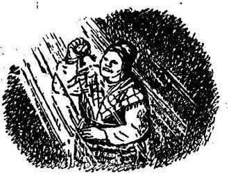 Сказки "зимняя сказка" ц. Топелиус