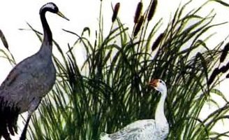 К.Д.Ушинский Гусь и журавль