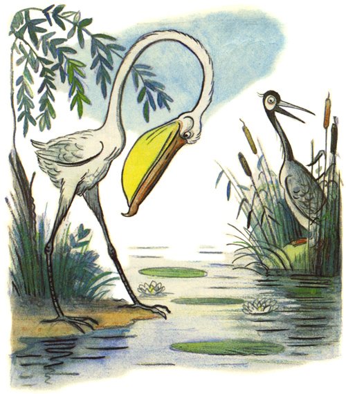 Журавль раскраска для детей