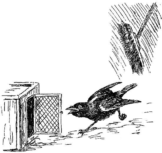 Лосин Вениамин Николаевич Хаврошечка