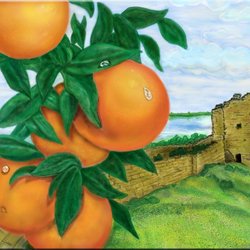 Натюрморт с апельсинами