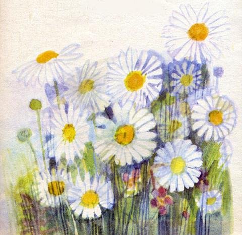 Ромашка Ганс христиан Андерсен