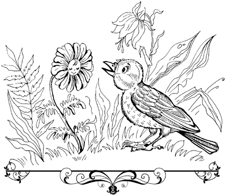 Сказка про ромашку