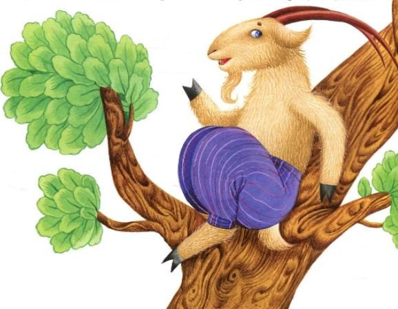 Фамилия баран