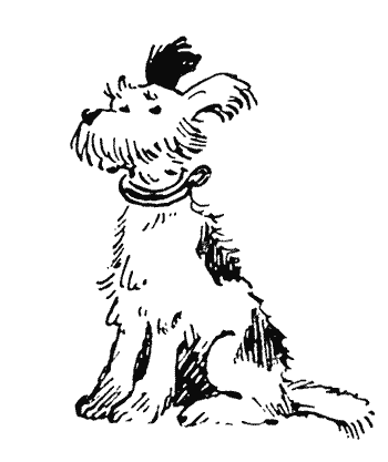 Магалиф Бибишка книга