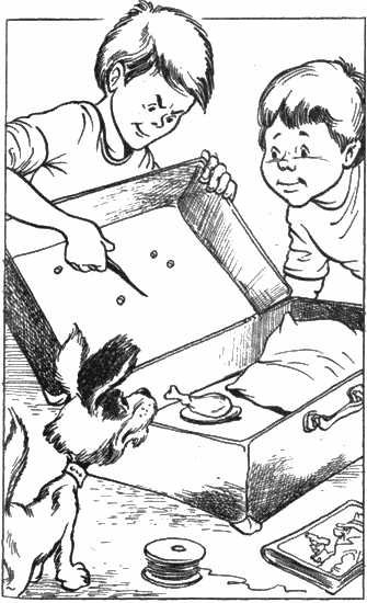 Иван Семенов художник иллюстратор и Самоделкин и карандаш