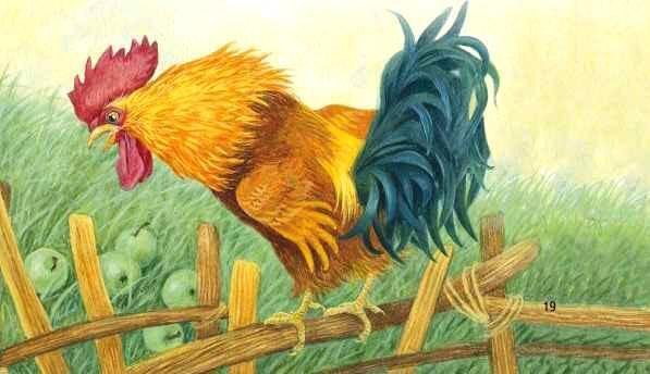 Петушок с семьёй