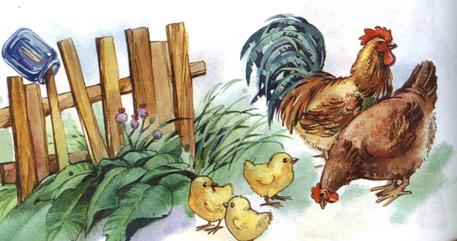 Иллюстрации заборчик в деревне на птичьем дворе