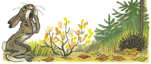 Владимир Сутеев "яблоко"