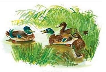 Михаил пришвин хромка