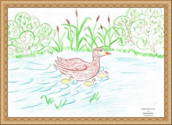 Пришвин хромка раскраска