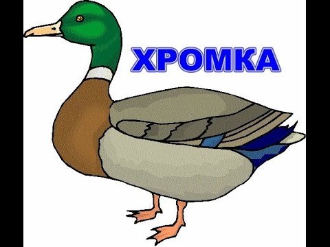 Утка хромка пришвин